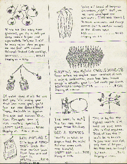 The Belchee seed catalog, page 2